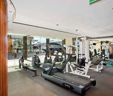 14 Pottinger Street, Sydney NSW 2000 - Townhouse For Rent | Domain - Photo 1