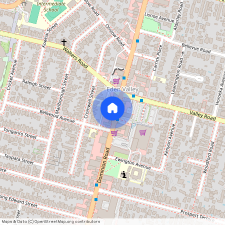 253 Dominion Road, Mount Eden, Auckland City