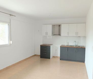 Studio/Γκαρσονιέρα για ενοικίαση Αμυγδαλεώνας (Φίλιπποι) - Φωτογραφία 2