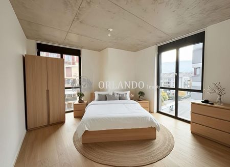 Beautiful new 5-room apartment (gable) 2nd floor without balcony – Carouge area - Foto 4