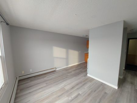 Large 1 Bedroom Unit!!! One Month Free Rent!! - Photo 5