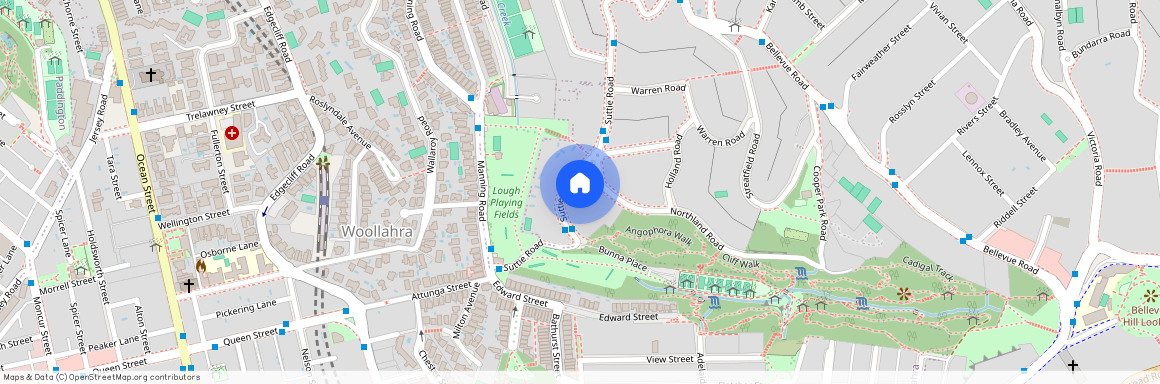 20 Suttie Road Bellevue Hill