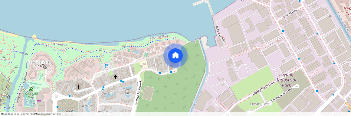211 Jalan Loyang Besar (509504), Singapore