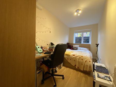 Richmond Road, Roath - Photo 5