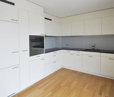 4.5 Zimmer Attika-Wohnung mit weiter Aussicht - Photo 1