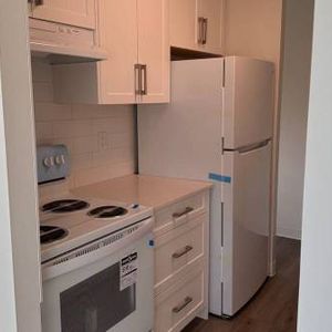 1-Bedroom Fully Renovated close to SkyTrain (Lougheed) - Photo 2