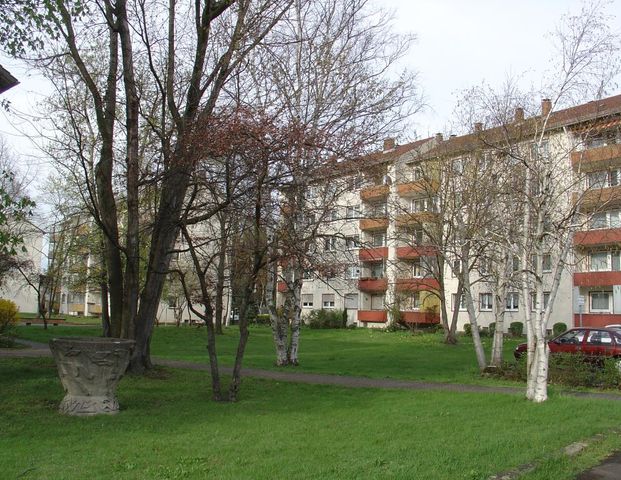 Gemütliche 1-Zimmer-Wohnung in Offenbach - jetzt frei ! - Photo 1