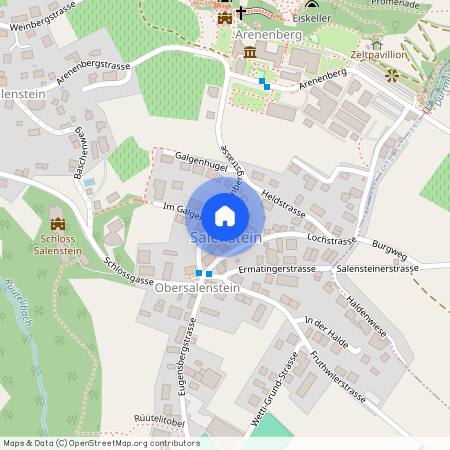 Arenenbergstrasse 8, 8268 Salenstein