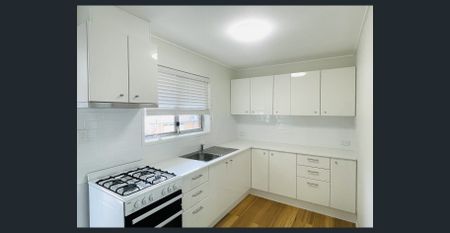 Freshly Renovated Unit in Great Moorooka Location - Photo 2