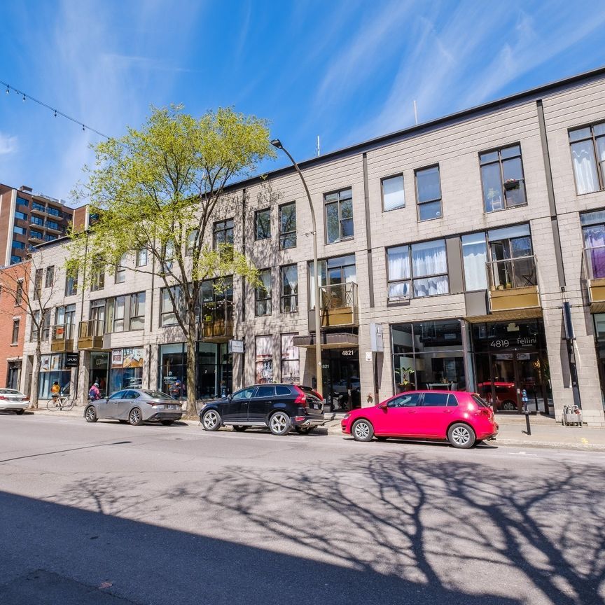 Condo for rent, Montréal (Le Plateau-Mont-Royal) - Photo 1