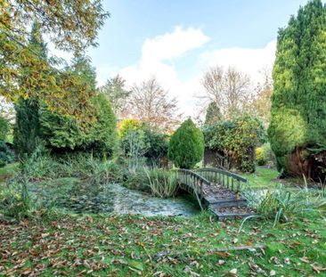 5 Bedroom Bungalow - Abbey Road, Medstead - Photo 6