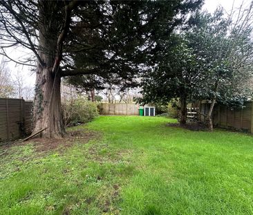 3 bedroom house to rent - Photo 5