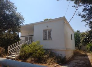 Μονοκατοικία για ενοικίαση - Αρτέμιδα (Λούτσα), - Photo 5