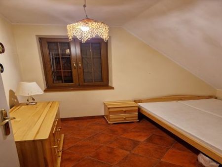 Głuszynek, pow. radziejowski - Photo 4