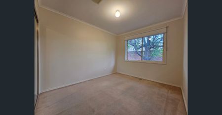 Spacious, Neat & Tidy - Photo 4