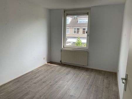 Schoener 12 - Photo 3