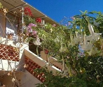 Location Appartement - Photo 3