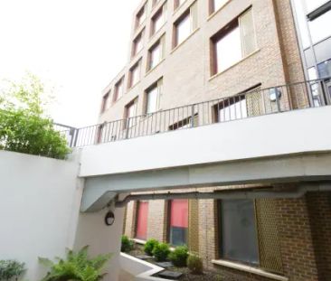 Bronze Studio - Photo 4