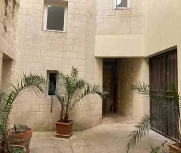 Location Appartement 1 pièce 53m² AVIGNON 84000 - Photo 6