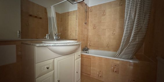 Location Appartement 1 pièce 32m² LIMOGES 87000 - Photo 3