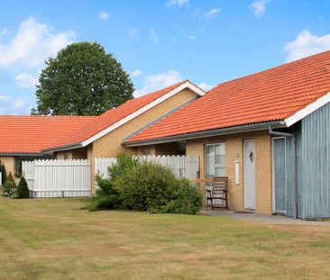 Sæbygårdvej - Sæby - Photo 2