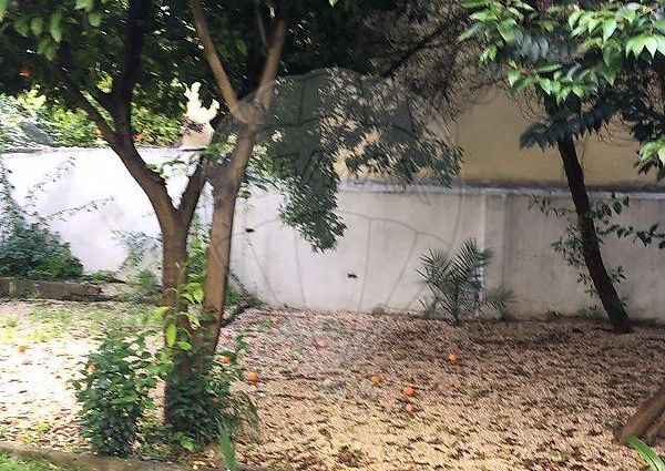 Apartamento T2 em Lisboa