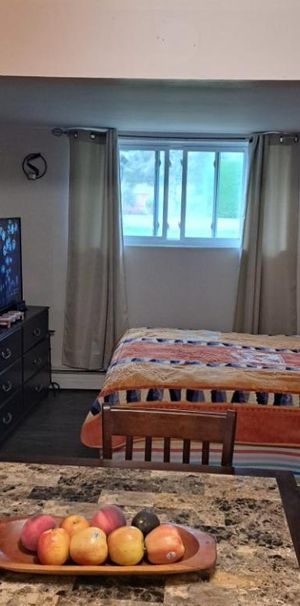 2 1/2 chauffé , éclairé, semi meublé - Photo 1