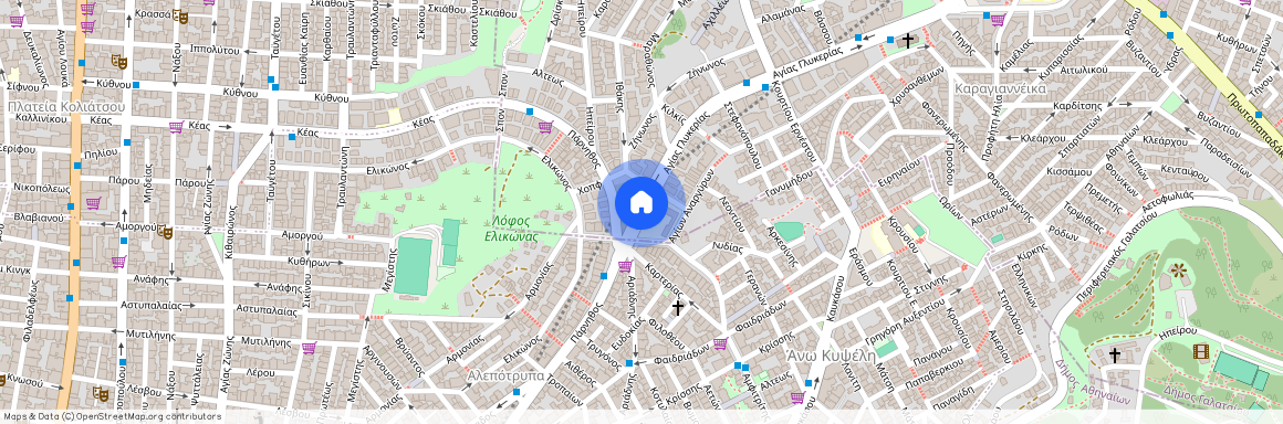 Fokionos Negri, Kipseli