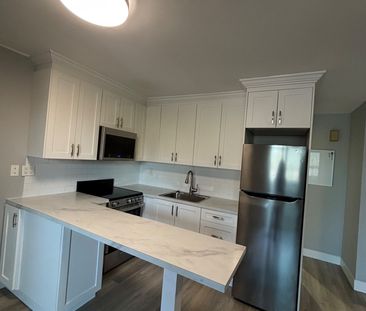 For Lease - 253 Augusta Avenue Unit# 3, Toronto, Ontario - Photo 3