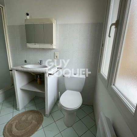 Appartement T2 climatisé, avec balcon, secteur Palissy - Photo 4