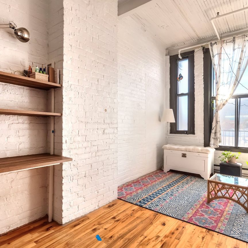 Condo for rent, Montréal (Le Plateau-Mont-Royal) - Photo 1