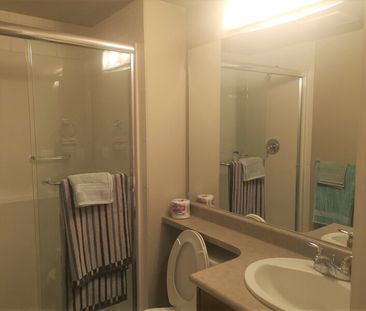 2bed 2bath Condo; Osprey 2 – Available September 1 - Photo 4