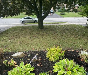 For Lease - 21 Hiley Avenue, Ajax, Ontario - Photo 4