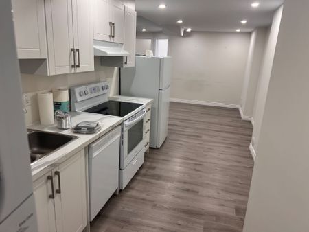 For Lease - 87 HITCHMAN Street Unit# Basement, Brant, Ontario - Photo 4