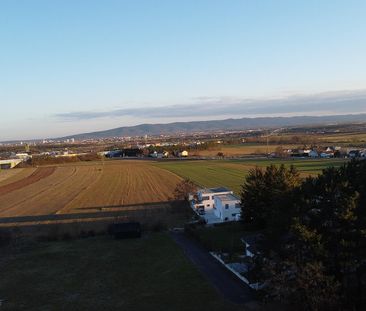 Goldsteinstraße, H2/1 - Foto 1