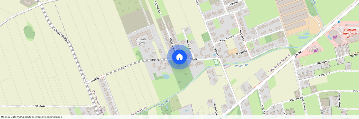 ul. Oleńki, Dawidy Bankowe, Raszyn, pruszkowski, mazowieckie