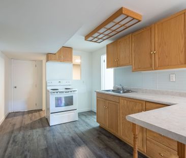 For Lease - 85 Daphne Crescent Unit# Lower, Barrie, Ontario - Photo 5