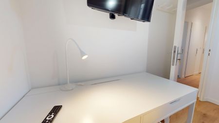 BELUGOU C Colocation 4 chambres à Montpellier - Photo 5