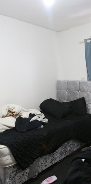 1 bed Studio for Rent - Photo 1