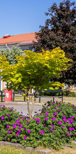 Plåtslagaregatan 47, Hageby - Photo 1