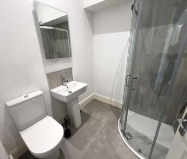 Apt 5, 29 Wellington Park, Belfast, BT9 6DL - Photo 5