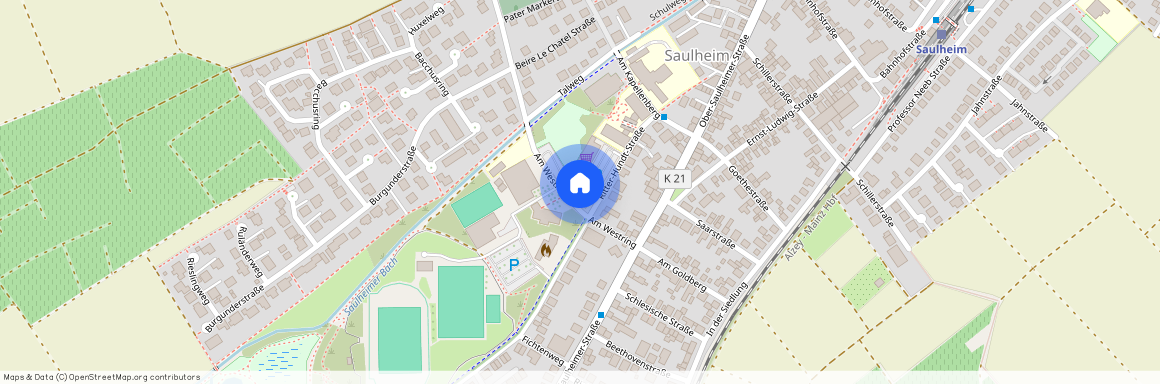 55291 Saulheim
