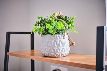 Dunluce Park (From Sept 2025), 48 Eglinton Street, Portrush, BT56 8DY - Photo 2