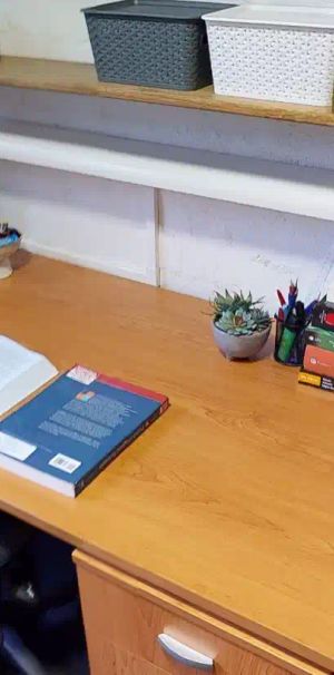 Single Room - Chisholm College - Photo 1