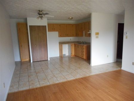 2020-209 rue Gauthier 1050$ pour Août - Photo 4