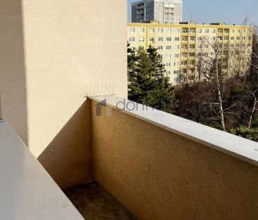 Pronájem bytu 2+1/L, 57 m - Photo 1