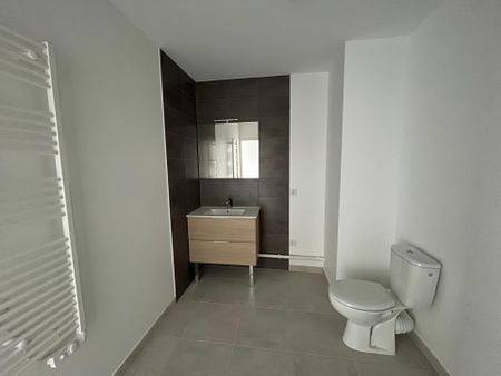 Location Appartement 1 pièce 34m² EYBENS 38320 - Photo 5