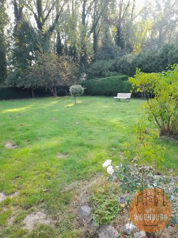 Bungalow met 1 slpk en ruime tuin (10 are) - Photo 5