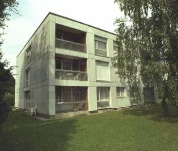 CHARMANT LOGEMENT DE 3.5 PIECES - Photo 1