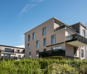 Traumhaft besonnte Gartenwohnung im Grünen! - Foto 3